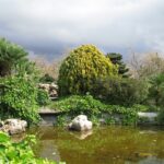 park, lake, darling-709529.jpg